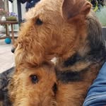 Sylvia Marin Visser - @sylviamarinvisser - Instagram