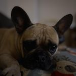 Sylvia McGovern - @sylviamc1973 - Instagram