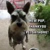 Silvia Meadows - @silvia.meadows - TikTok