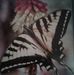 Sylvia Medrano - Facebook