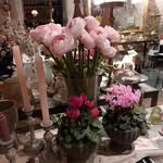 Sylvia Meier - @sylvia.meier.716 - Instagram