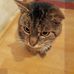 Sylvia Metzer - Facebook