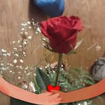 Sylvia Mesa Ruiz - @mari.mesa.121 - Instagram