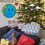 Sylvia Meyer - @sylvia.meyer.714 - Instagram