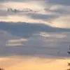 Sylvia Meyers - @sylvia.meyers - TikTok
