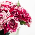 Sylvia Middlebrooks - @tigerroseboutique - Instagram