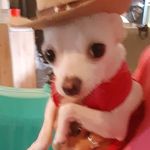 Sylvia Miles - @chrisafton58486 - Instagram