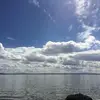 Sylvia Mitchell - @sylvia.mitchell1 - TikTok