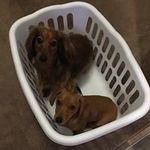 Sylvia Mooney - @mooney.sylvia - Instagram