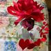 Silvia Narvaez - Facebook