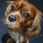 Sylvia O'neil - @sylvia.oneil.3 - Instagram