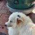Sylvia Oakley - Facebook