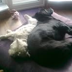 Sylvia O'Connor - Facebook
