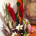 Sylvia Olney - Facebook