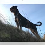 Sylvia Olsen - @sylviaolsen - Instagram