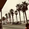 sylviaolsen559 - @sylviaolsen559 - TikTok