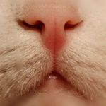 Sylvia Otto - @sylviaotto9639 - Instagram