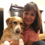Sylvia Otto - @sylvispflegehunde - Instagram