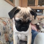 Sylvia Paterson - @sylvia.paterson.792 - Instagram