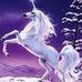 Sylvia Pearce - Facebook