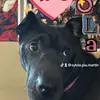 Sylvia Piña Martinez - @sylvia.pia.martin - TikTok