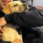 Piper - @pipersylviasink - Instagram