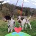 Sylvia Piper - Facebook