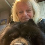 Sylvia Piper - @sylvieelikescats - Instagram