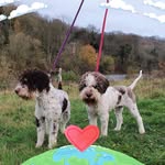 Sylvia Piper - @sylvia_piper1972 - Instagram