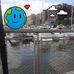 Sylvia Plummer - Facebook