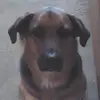 sylviapope41 - @sylviapope41 - TikTok