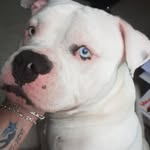 Sylvia Poupet - @sylviapoupet - Instagram