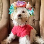 Queen S 👑 - @sylvia.queen - Instagram