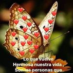 Sylvia Reid - @sylviareid191 - Instagram