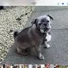 Sylvia Reid - @sylvia.reid33 - TikTok