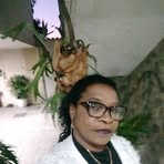 Silvia Ribeiro - Facebook