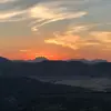 Sylvia Ribeiro - @sylviaribeiro2 - TikTok
