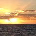 Sylvia Roark - Facebook