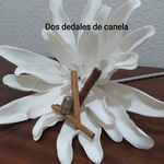 Sylvia Lopez Roldan - @dosdedalesdecanela - Instagram