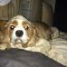 Sylvia Rollins - Facebook