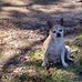 Sylvia Rollins - Facebook