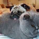 Sylvia Rosenberg - @rosenbergsylvia - Instagram