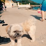 Sylvia Ross Gray - @sylviagray1968 - Instagram