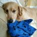 Sylvia Rowland - Facebook