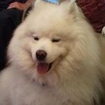 Sylvia Rowlands - @sylviarowlands - Instagram