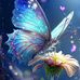Silvia Roy - Facebook