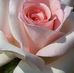 Silvia Rubalcaba - Facebook