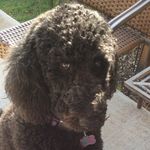 Sylvia And Rudd - @_maggie_0423 - Instagram