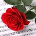 Silvia Rudolph - Facebook