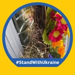 Sylvia Rutkowski Wilson - @sylviarick54 - Instagram